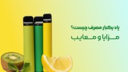 پاد یکبار مصرف چیست؟
